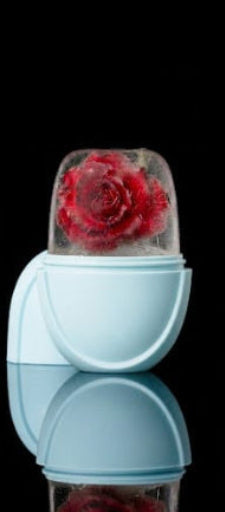 chill Glow™ Face Ice Mold – Instant Skin Refresh & Massage